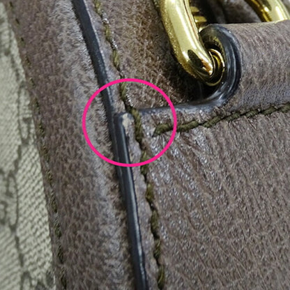 Ophidia Canvas Crossbody Bag