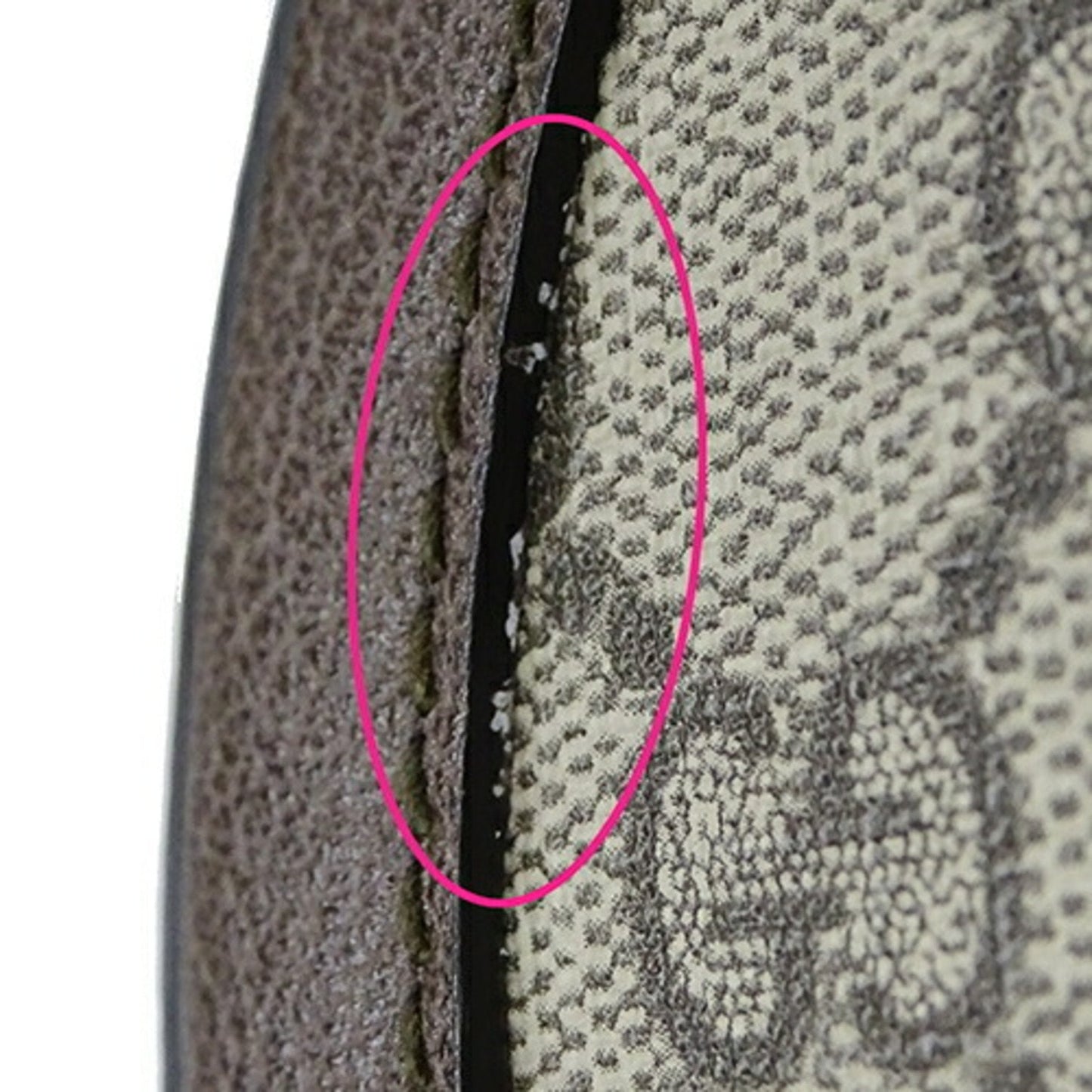 Ophidia Canvas Crossbody Bag
