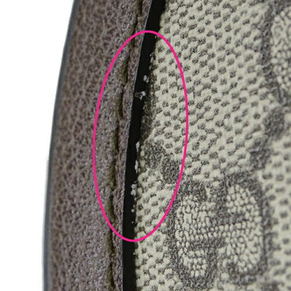Ophidia Canvas Crossbody Bag
