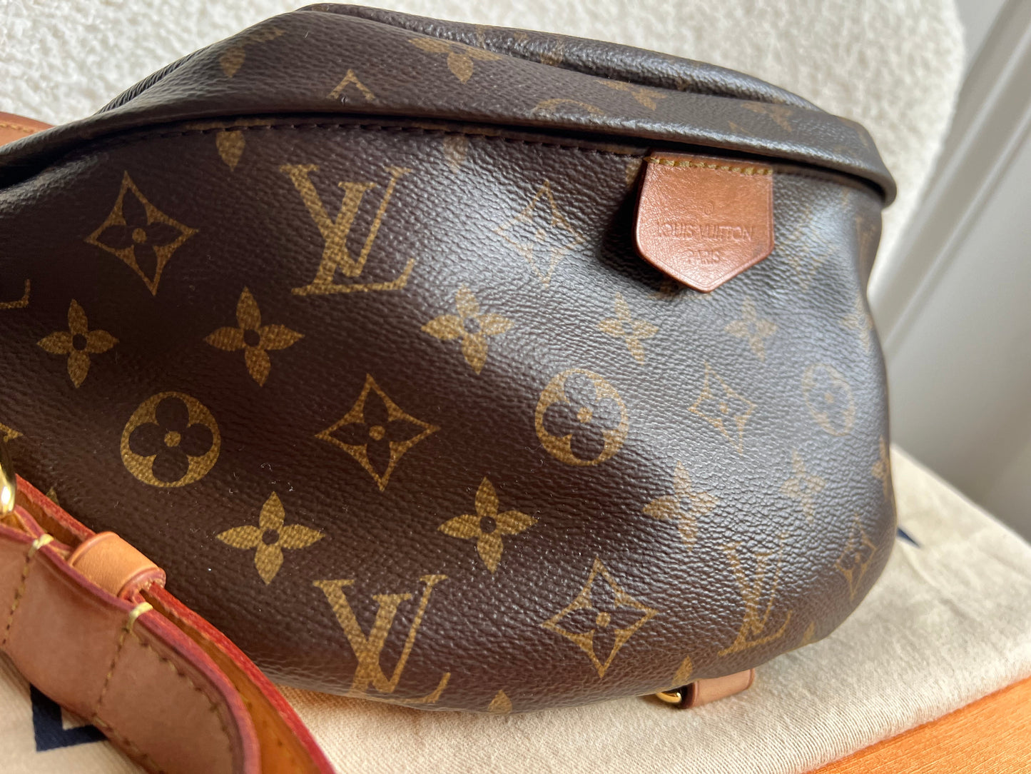 Louis Vuitton Bumbag in Monogram Canvas