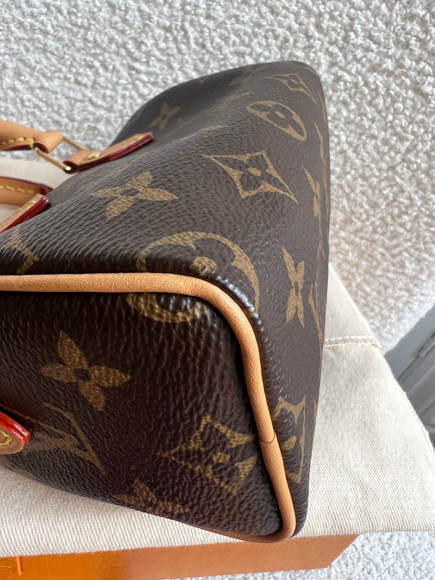 Louis Vuitton Speedy Nano Monogram (RRP £1450)