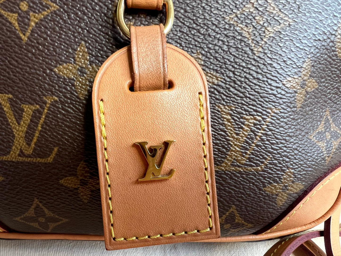 Louis Vuitton Mini Deauville Monogram (RRP £1350)