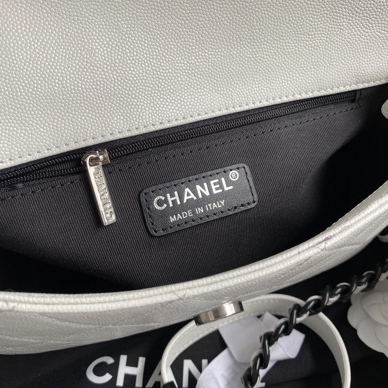 Chanel Luxury Handbag Style 501