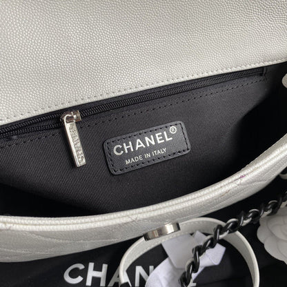 Chanel Luxury Handbag Style 501