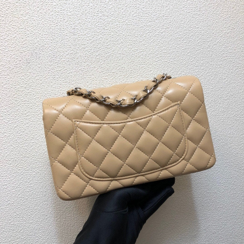 Chanel Luxury Handbag Style 187