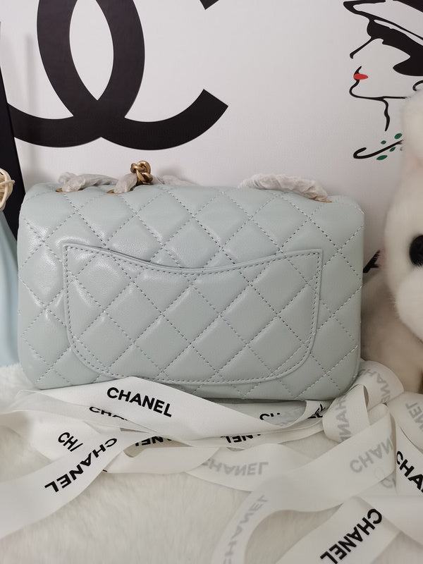 Chanel Luxury Handbag Style 110