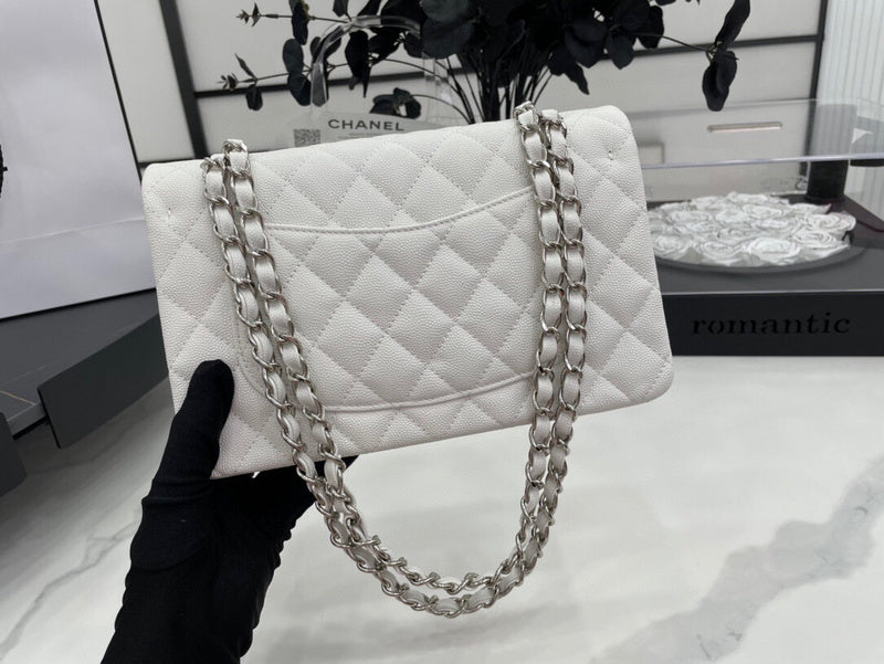 Chanel Luxury Handbag Style 170