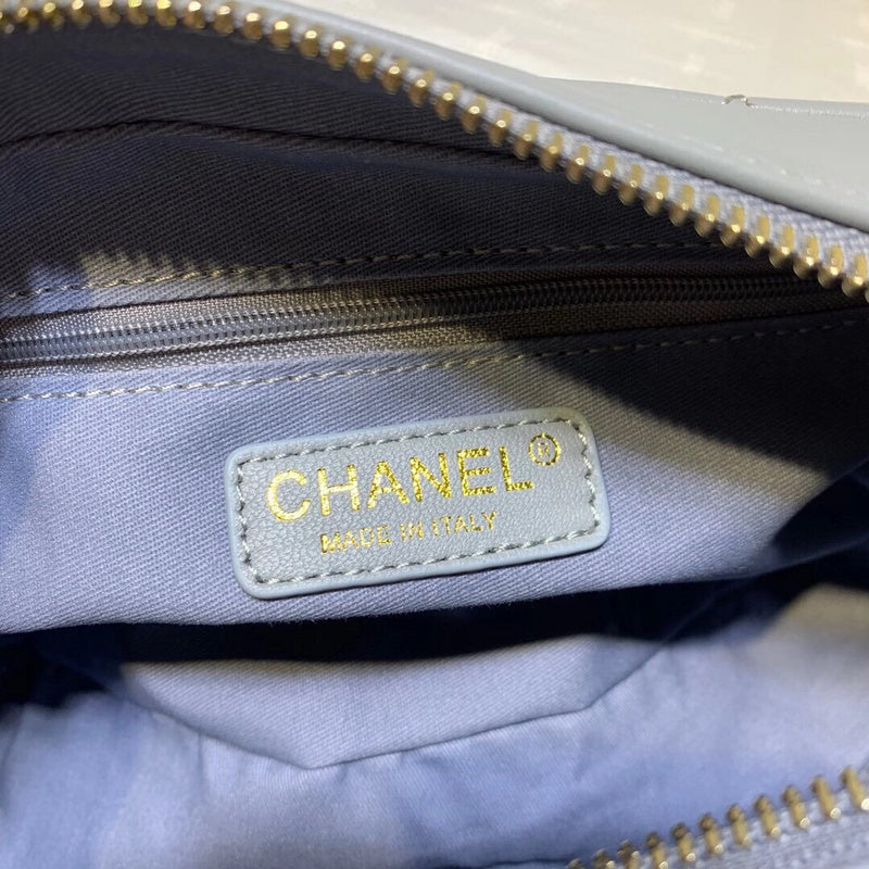 Chanel Luxury Handbag Style 489