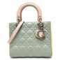 Christian Dior Blue Pink Yellow Leather Handbag Shoulder Bag