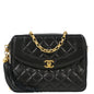 Chanel Black Lambskin Camera Bag Small