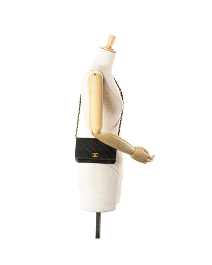 Mini Quilted Leather Full Flap Crossbody Bag