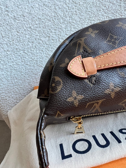 Louis Vuitton Bumbag in Monogram Canvas