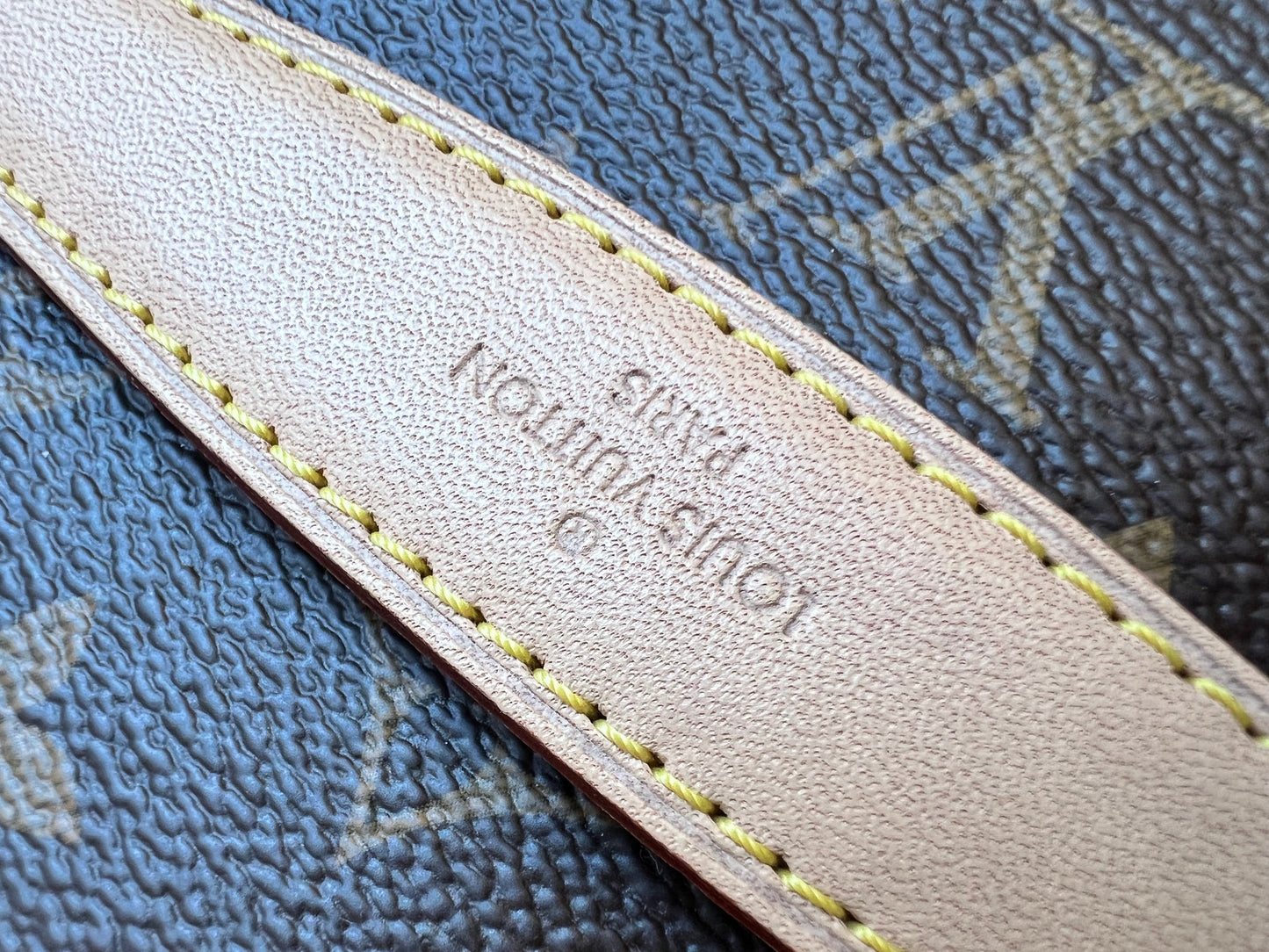Louis Vuitton Bumbag in Monogram Canvas