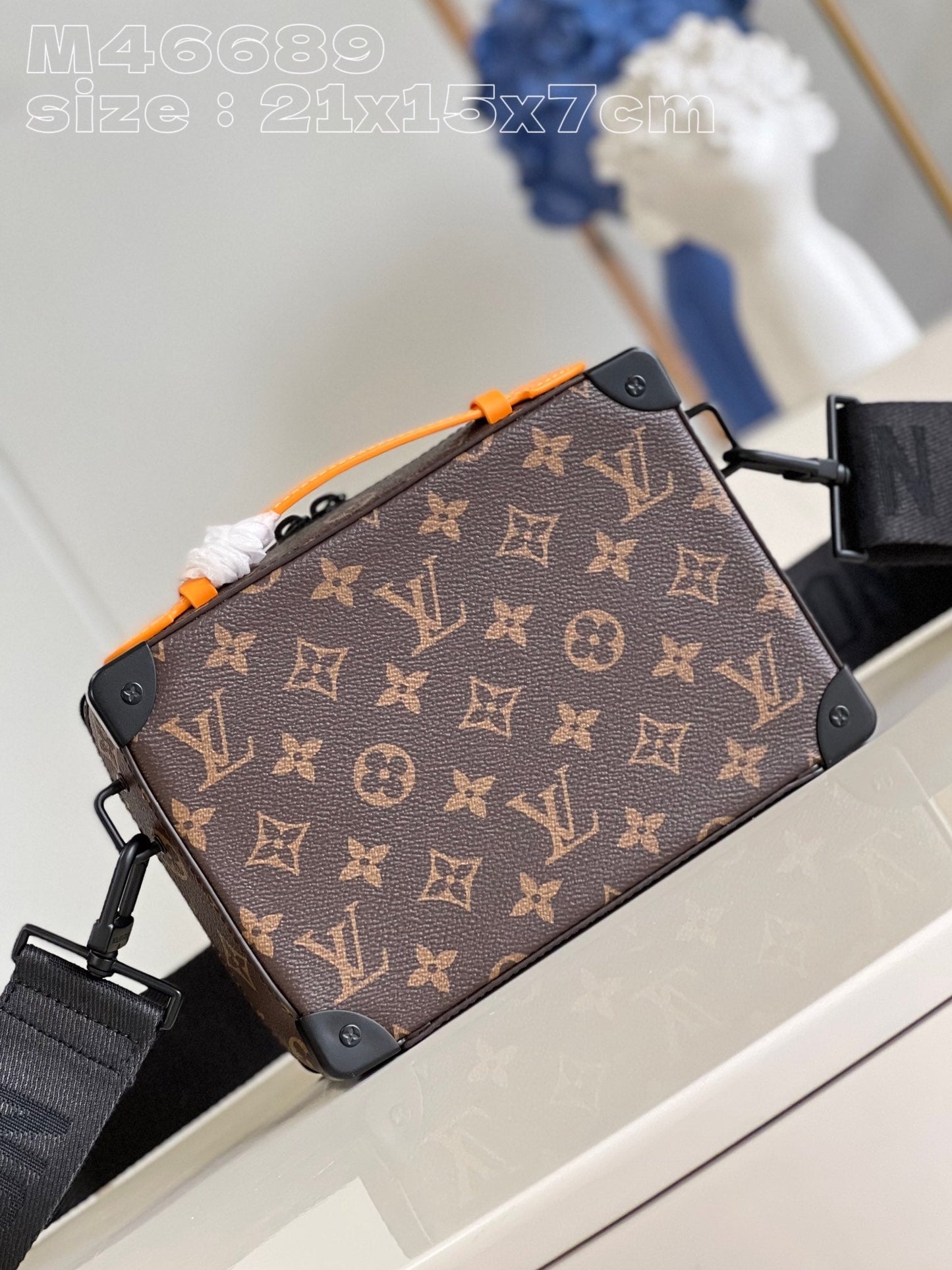 Louis Vuitton Soft Handle Trunk Bag