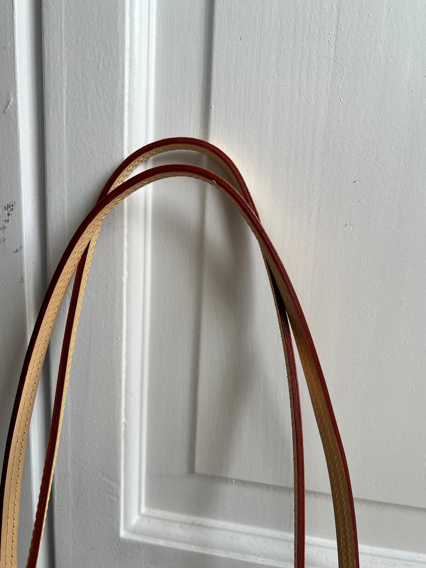 Louis Vuitton Carry It Tote