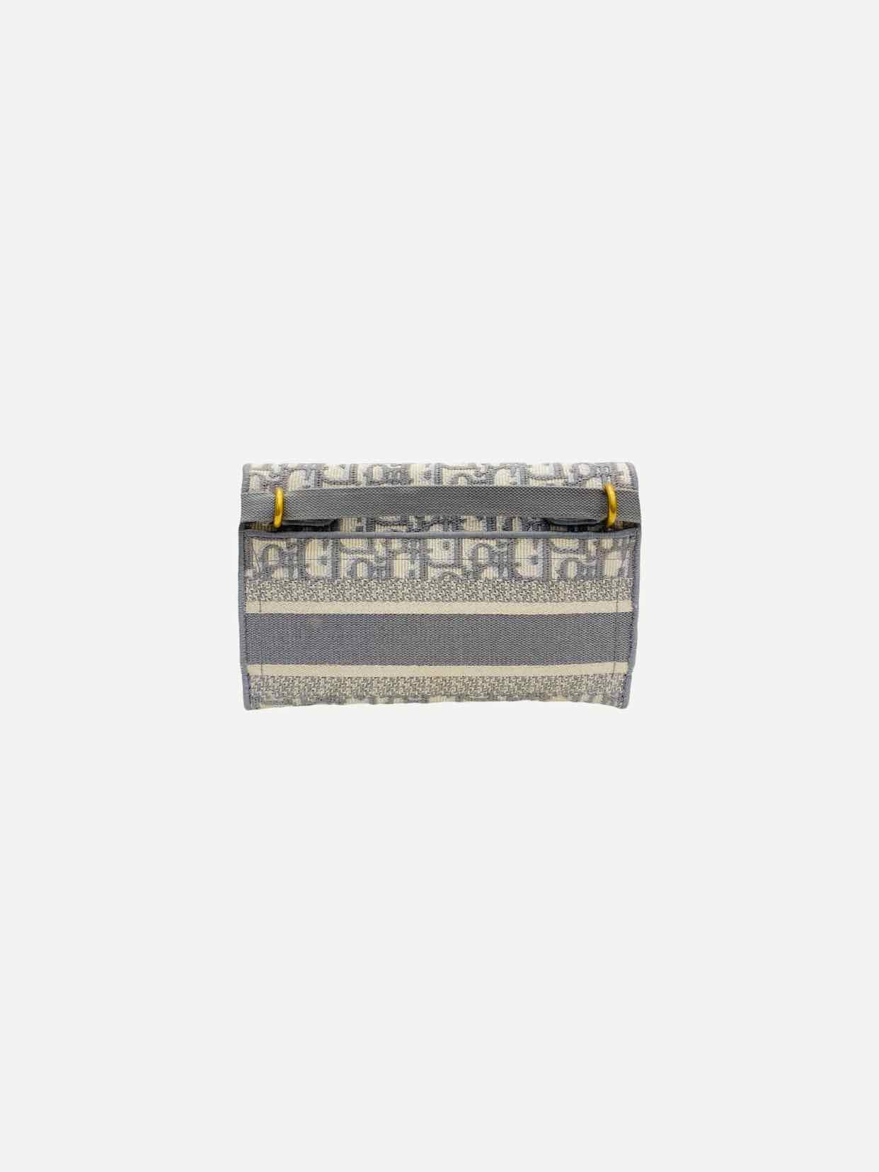 Dior Saddle Grey Oblique Belt Bag