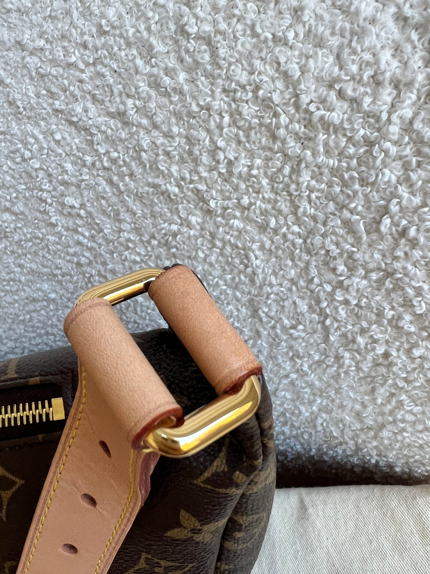 Louis Vuitton Bumbag in Monogram Canvas