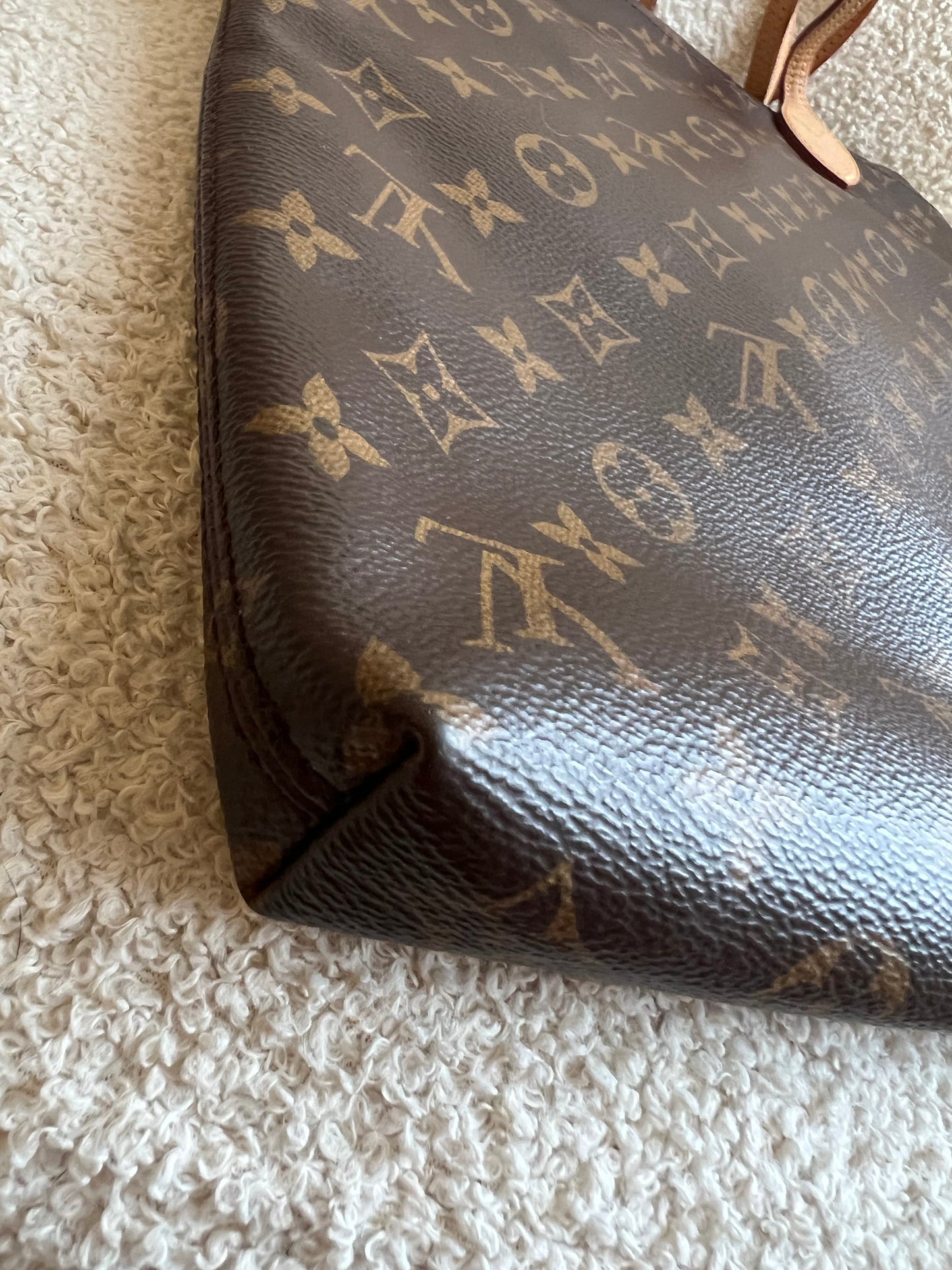 Louis Vuitton Carry It Tote