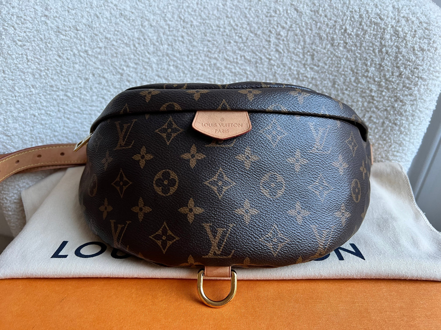 Louis Vuitton Bumbag in Monogram Canvas