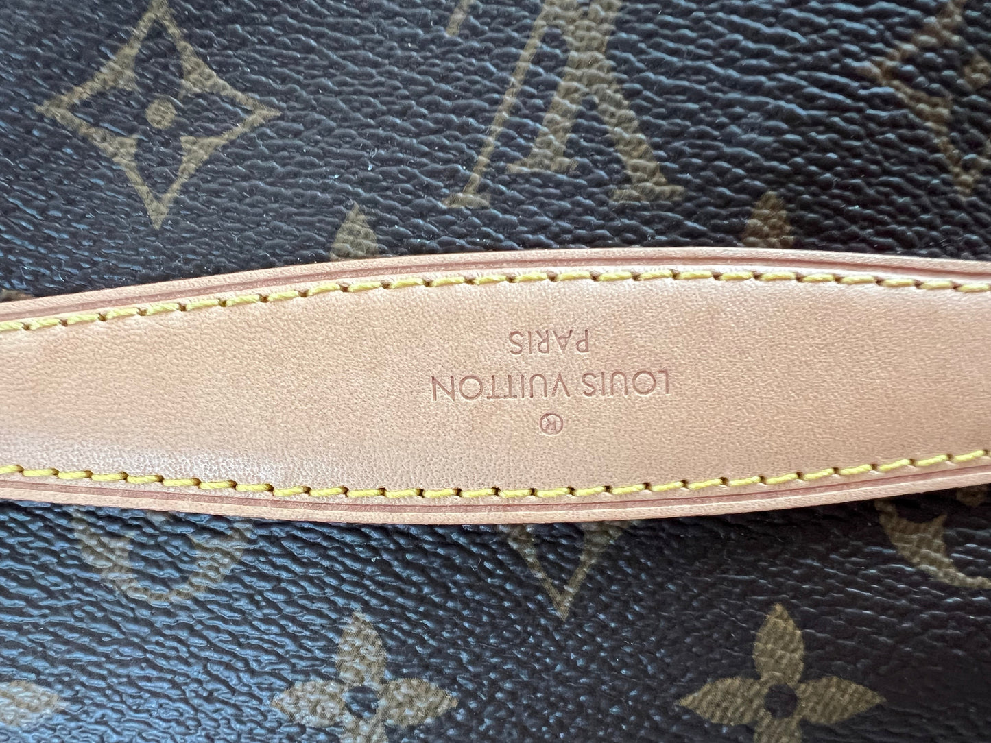 Louis Vuitton Bumbag in Monogram Canvas