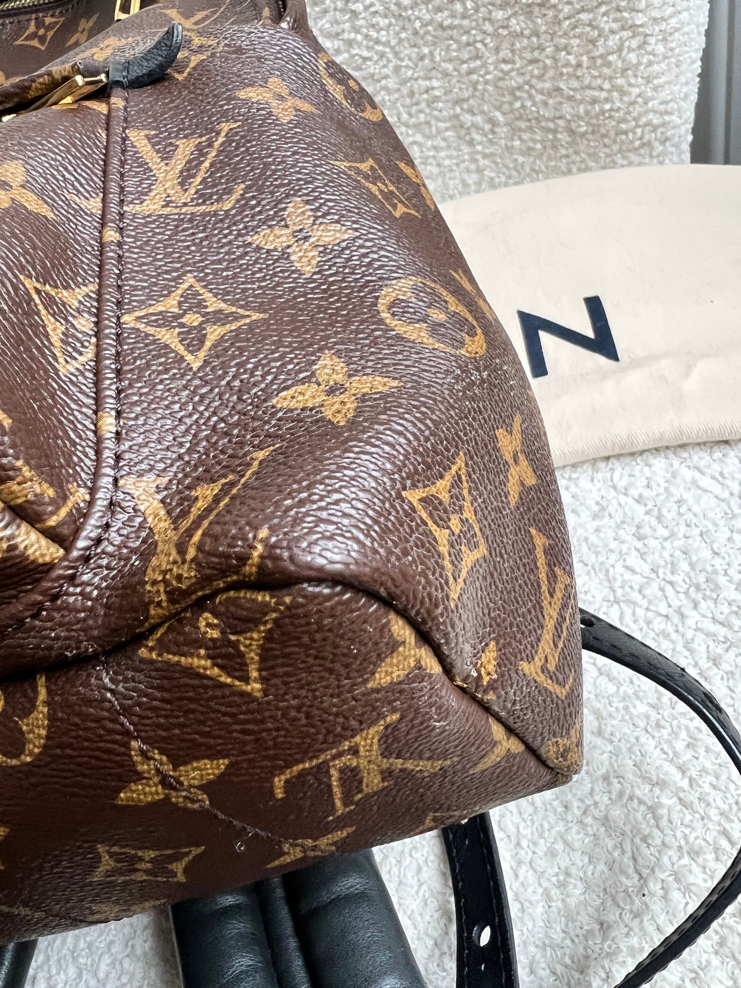 Louis Vuitton Palm Springs MM Backpack (RRP £2,090)
