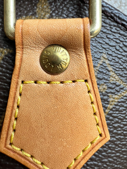 Louis Vuitton Ellipse PM Monogram