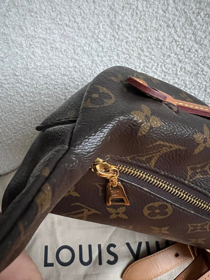 Louis Vuitton Bumbag in Monogram Canvas