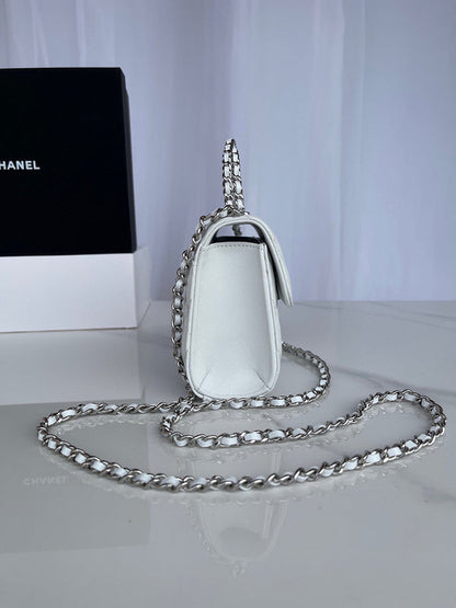 Chanel Luxury Handbag Style 250