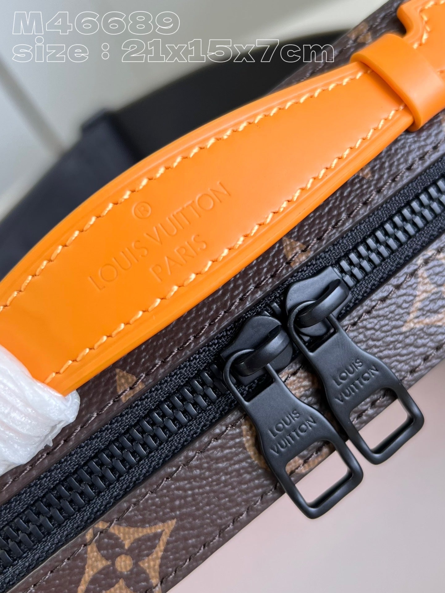 Louis Vuitton Soft Handle Trunk Bag