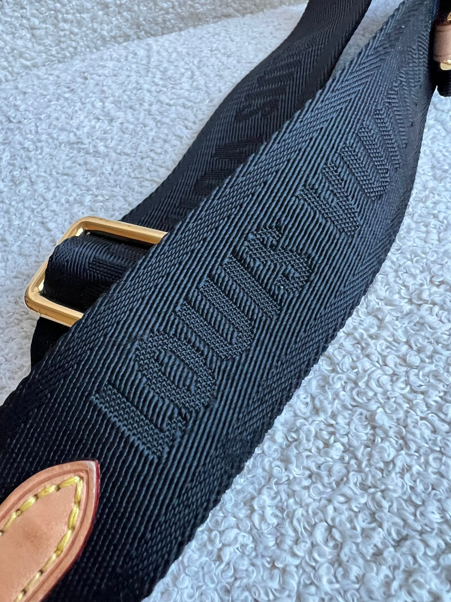 Louis Vuitton Canvas Bandouliere Strap
