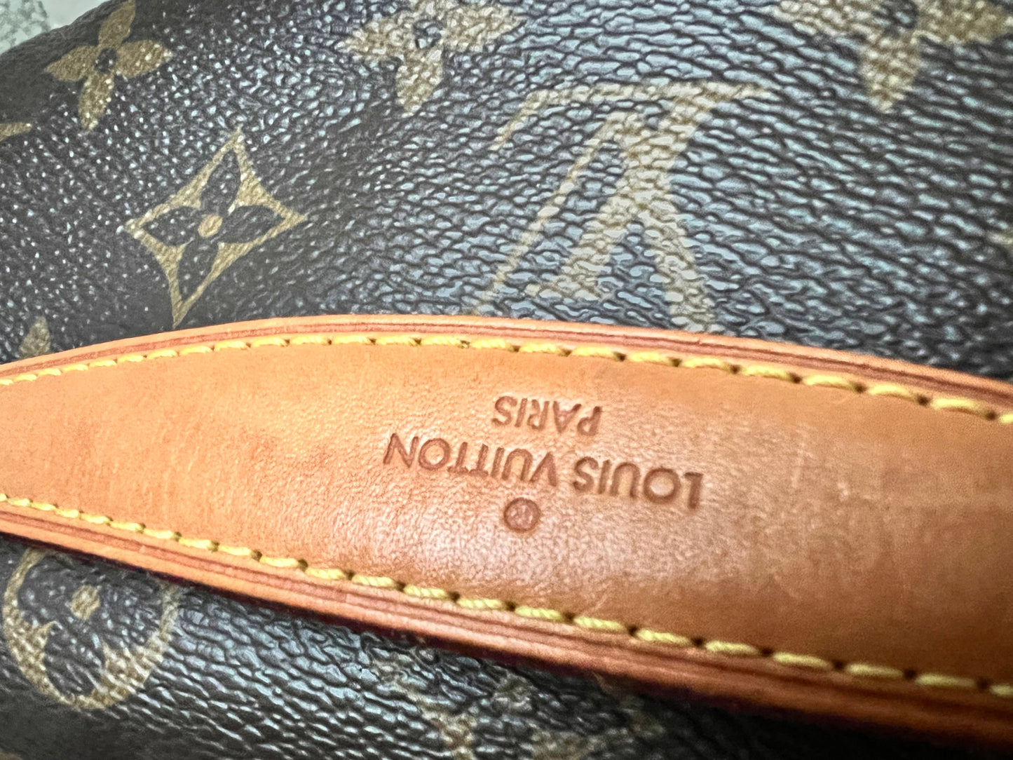 Louis Vuitton Bumbag in Monogram Canvas