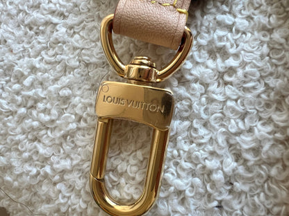 Louis Vuitton Canvas Bandouliere Strap