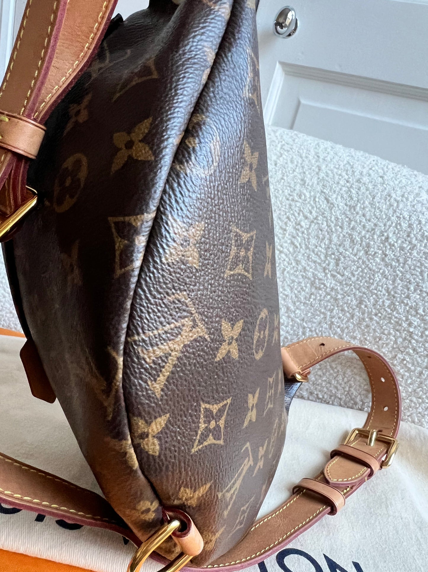 Louis Vuitton Bumbag in Monogram Canvas