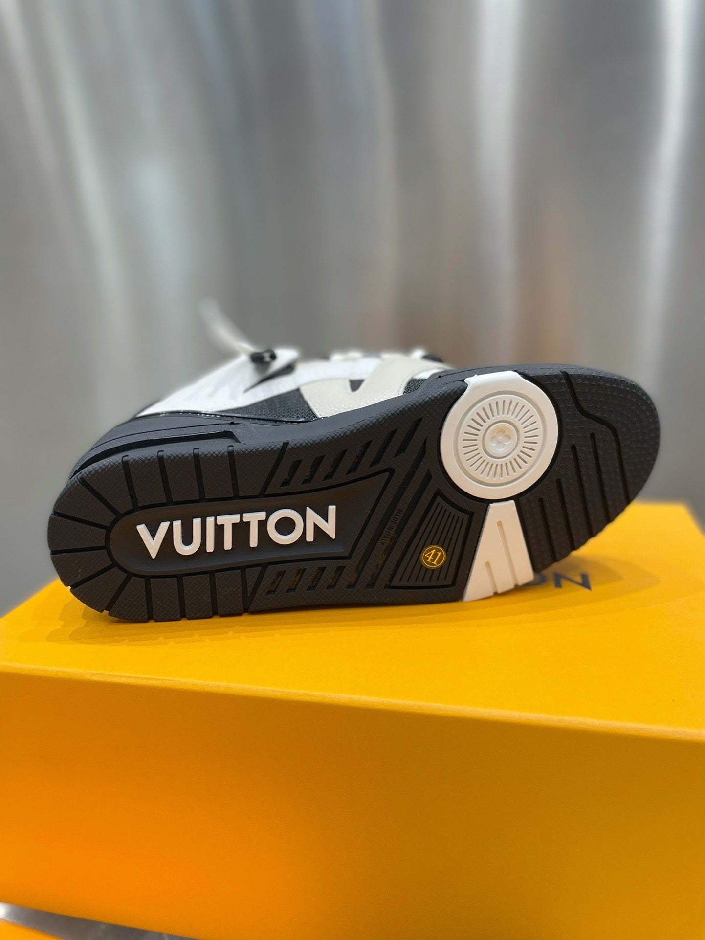 Louis Vuitton Skate Sneakers