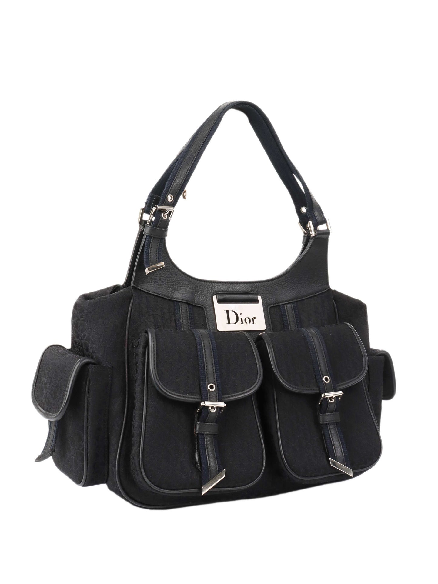 Dior Luxury Canvas Handbag