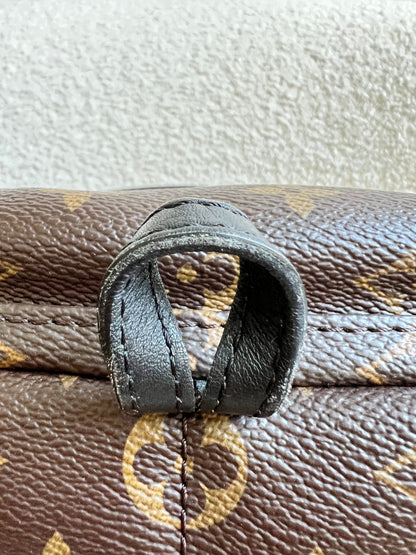 Louis Vuitton Palm Springs Mini Backpack (RRP £1,860)