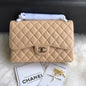 Chanel Luxury Handbag Style 163