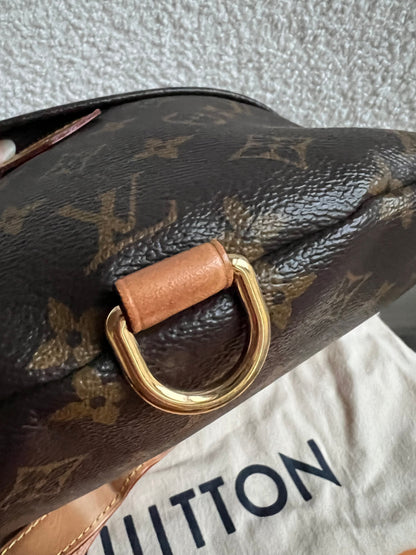 Louis Vuitton Bumbag in Monogram Canvas