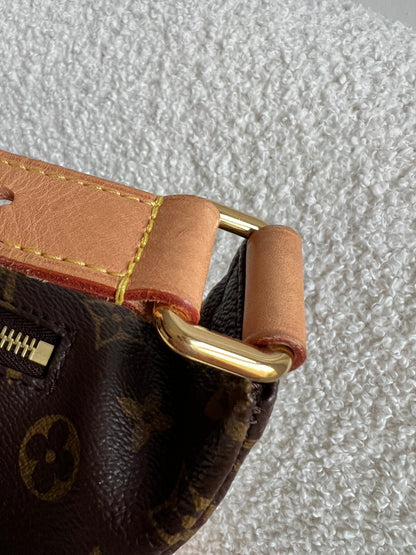 Louis Vuitton Bumbag in Monogram Canvas
