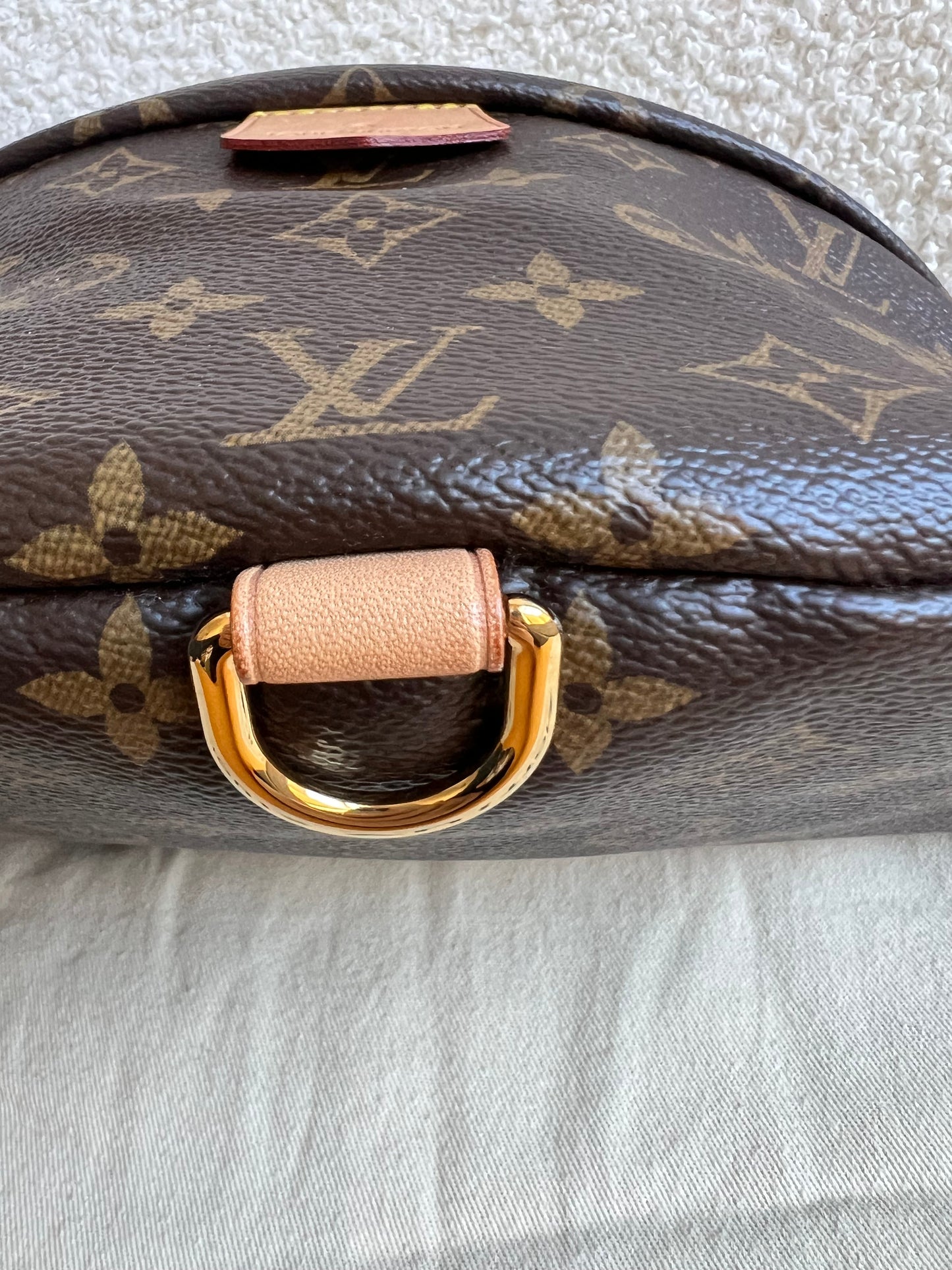 Louis Vuitton Bumbag in Monogram Canvas