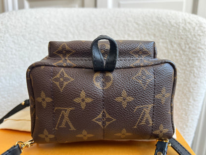 Louis Vuitton Palm Springs Mini Backpack (RRP £1,860)