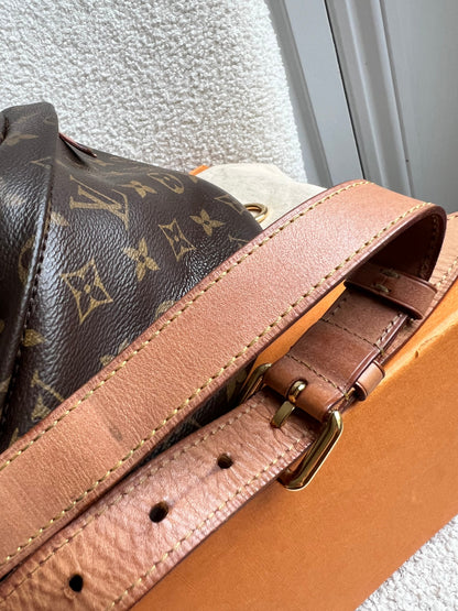 Louis Vuitton Bumbag in Monogram Canvas