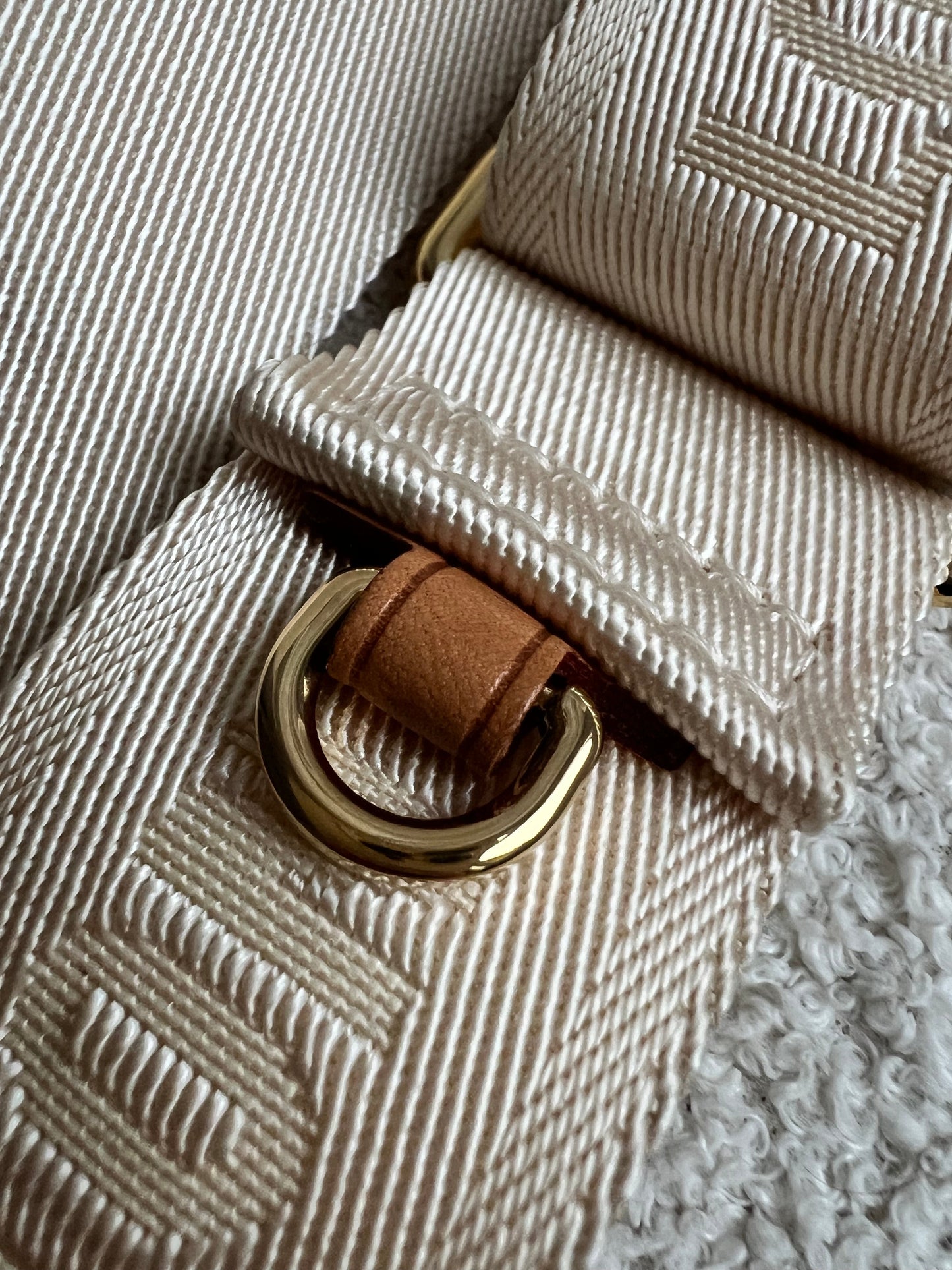Louis Vuitton Canvas Bandouliere Strap