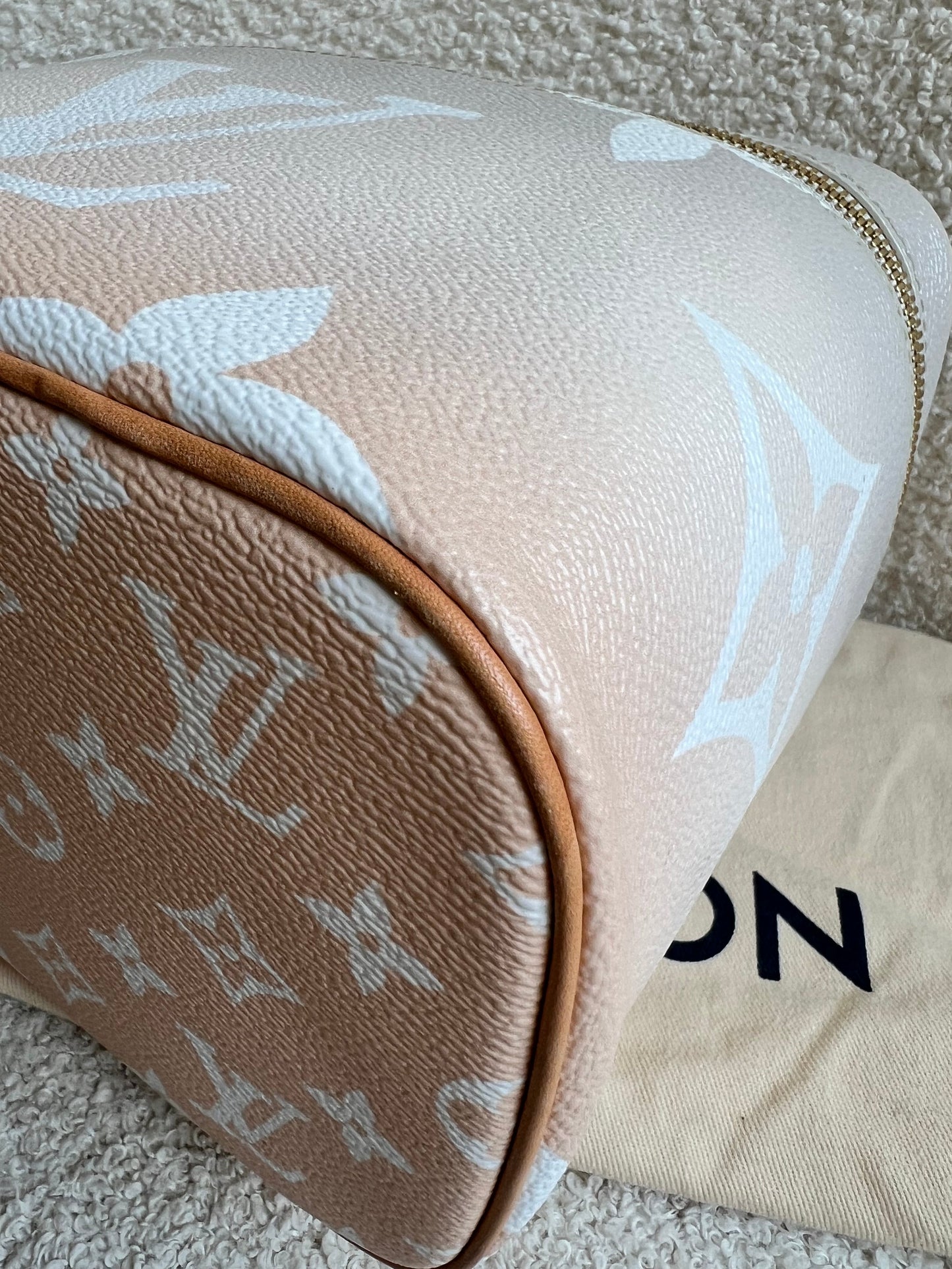 Louis Vuitton By the Pool Nice BB Bag Vanity Case