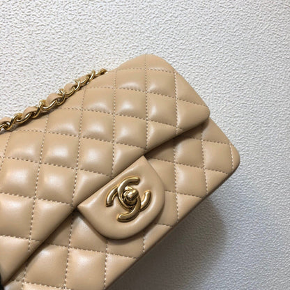 Chanel Luxury Handbag Style 176