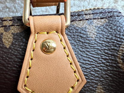 Louis Vuitton Speedy Nano Monogram (RRP £1360)