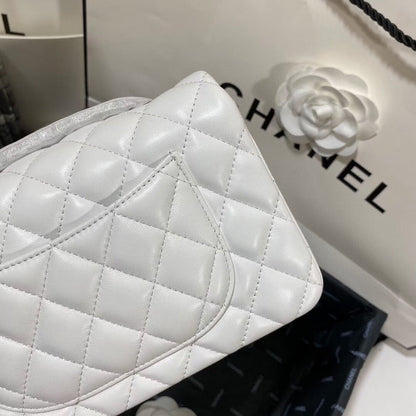 Chanel Luxury Handbag Style 254