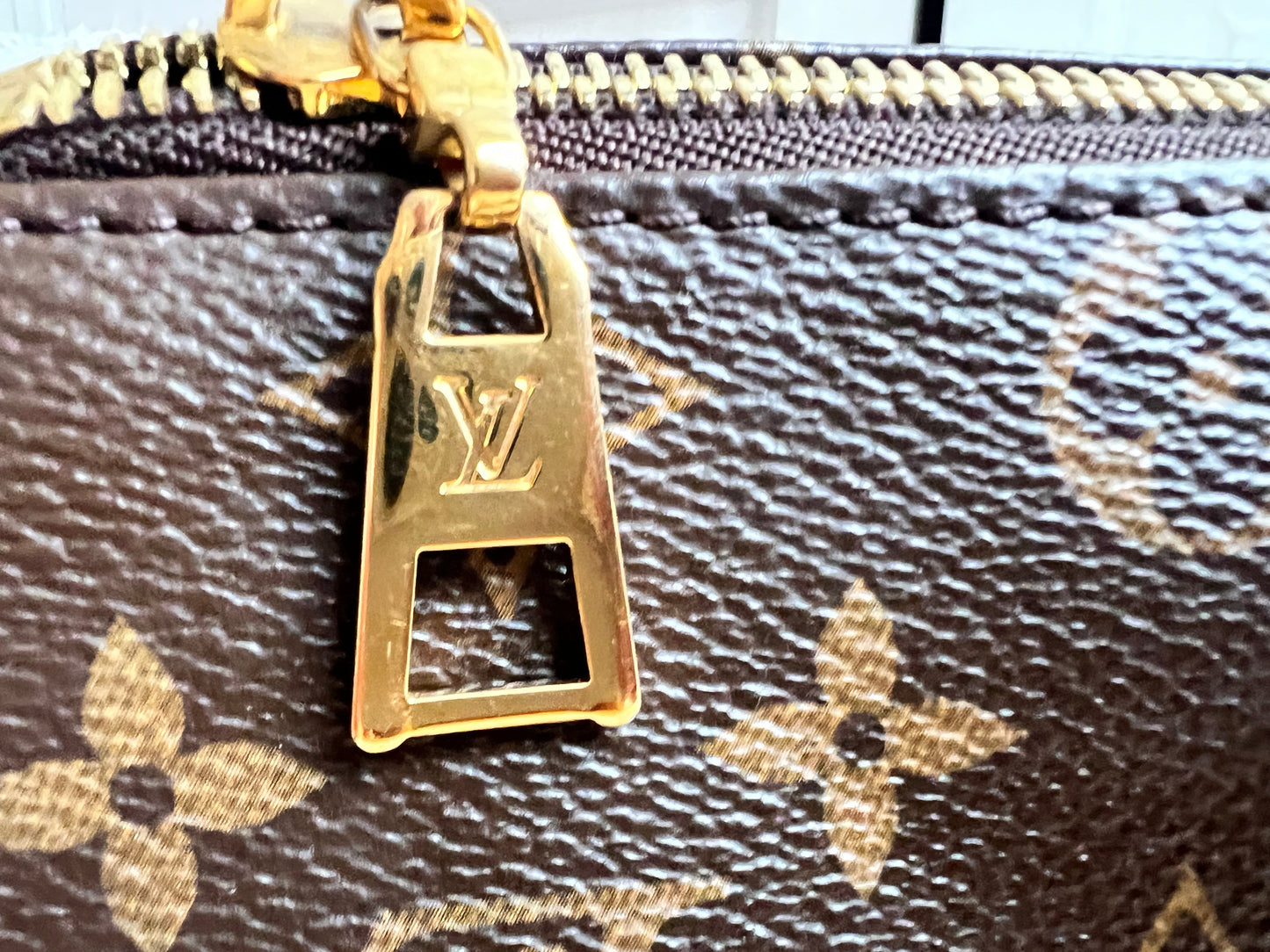 Louis Vuitton Bumbag in Monogram Canvas