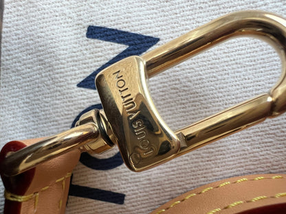 Louis Vuitton Speedy Nano Monogram (RRP £1450)