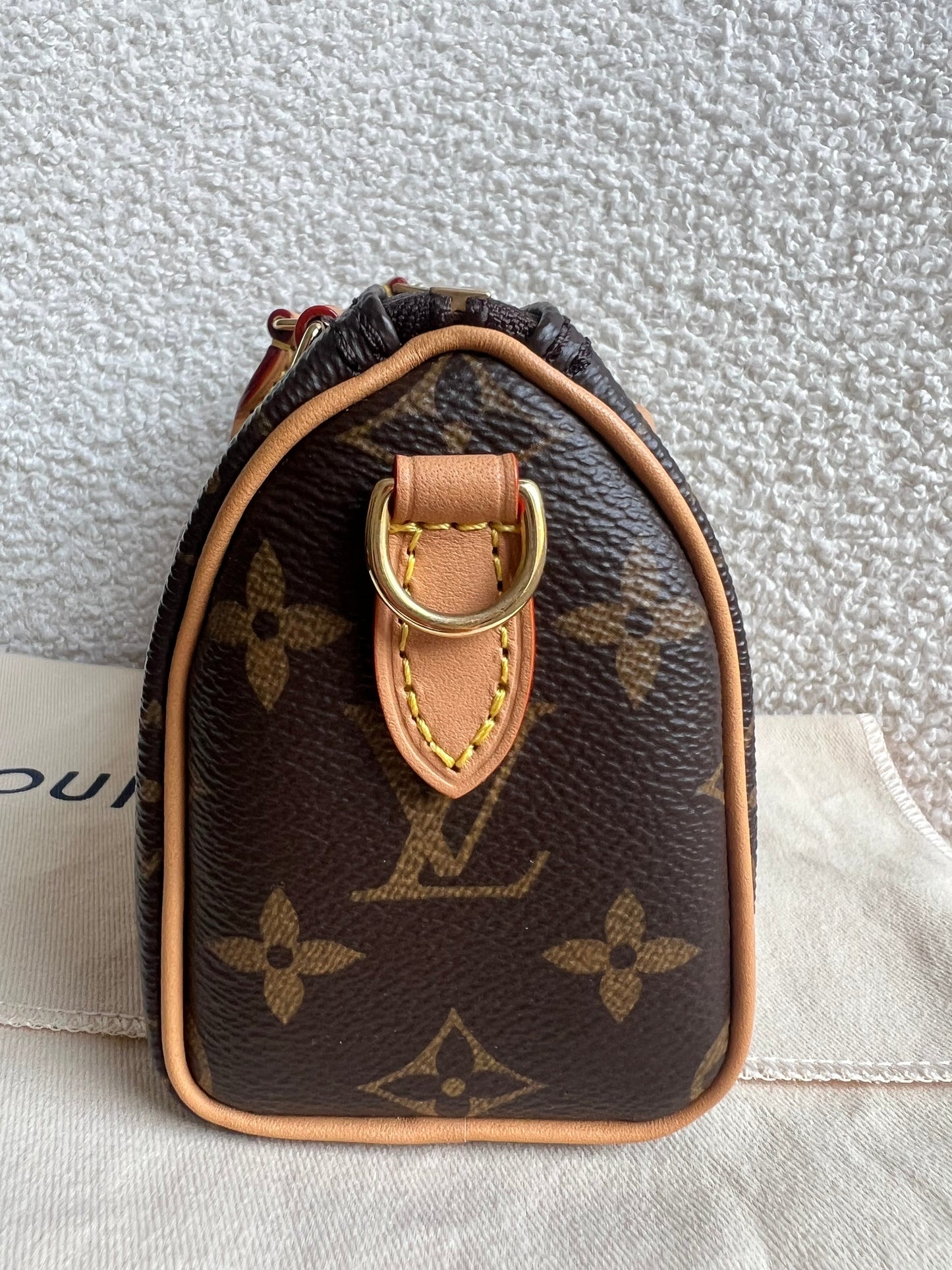 Louis Vuitton Speedy Nano Monogram (RRP £1450)